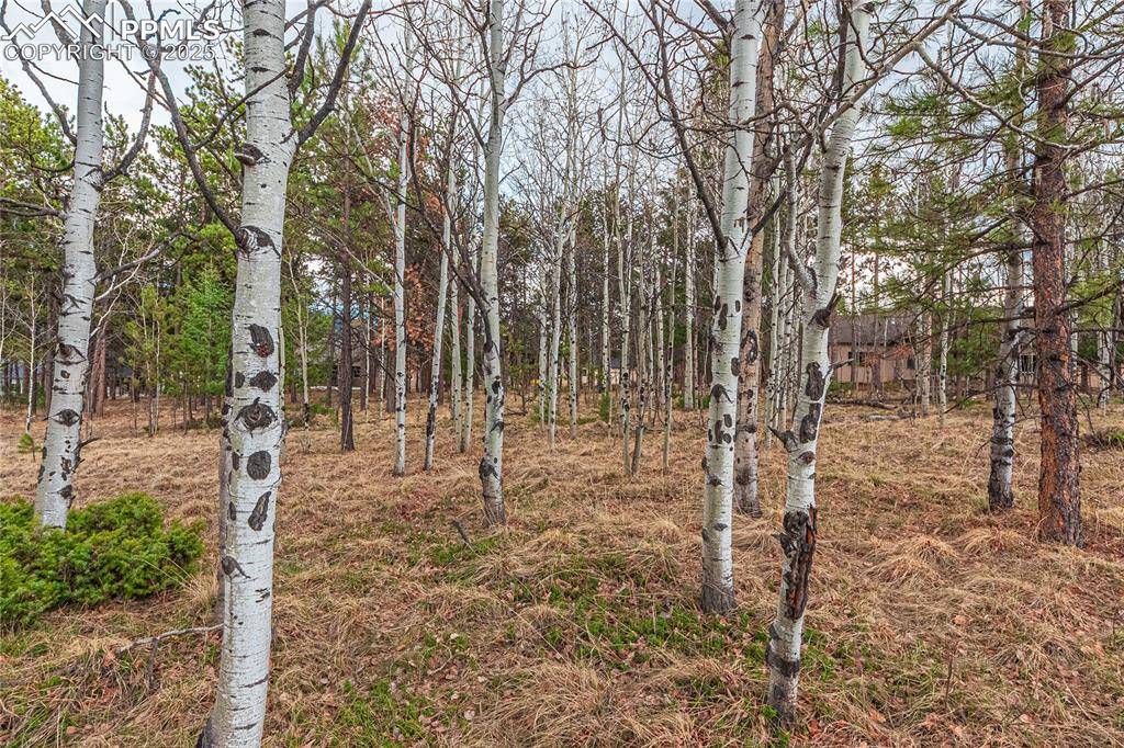 1290 Firestone DR, Woodland Park, CO 80863