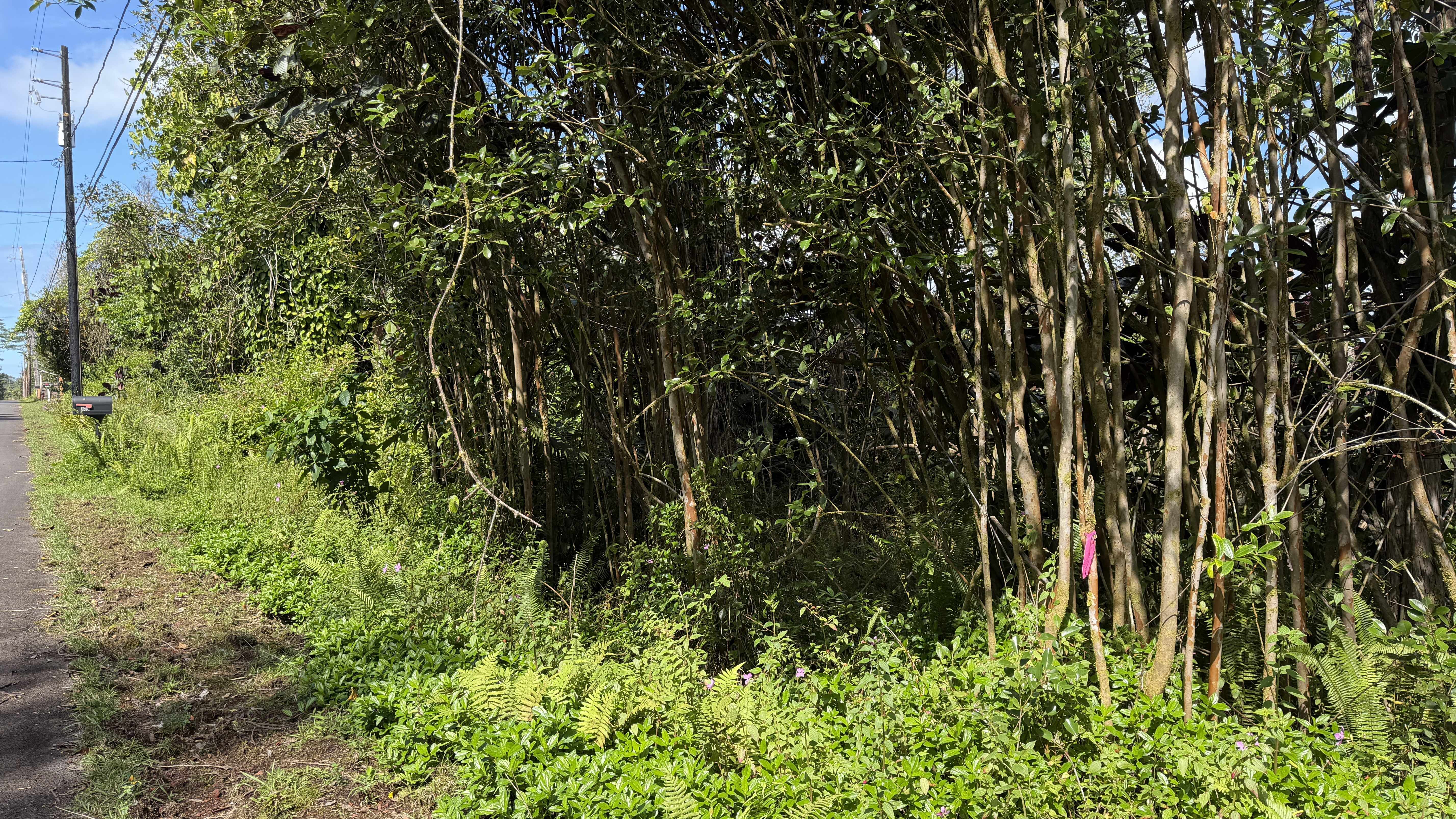 KUPONO ST, Pahoa, HI 96778