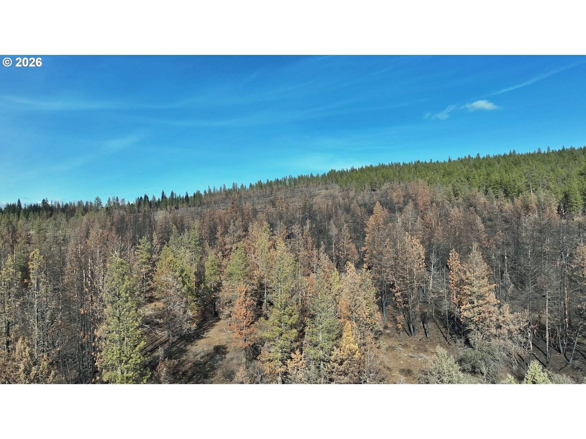 Hummingbird DR #4, Bonanza, OR 97623