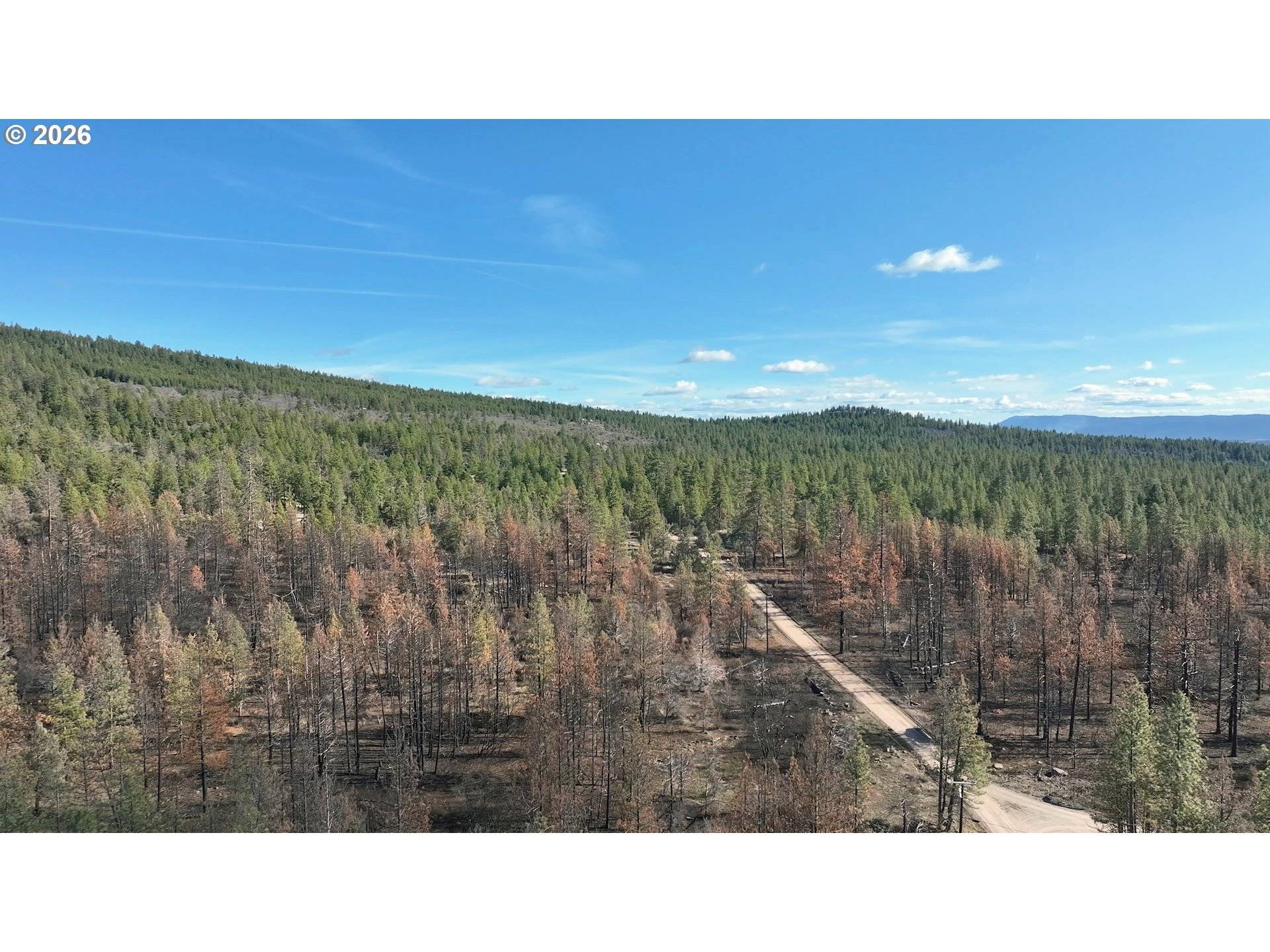 Hummingbird DR #4, Bonanza, OR 97623