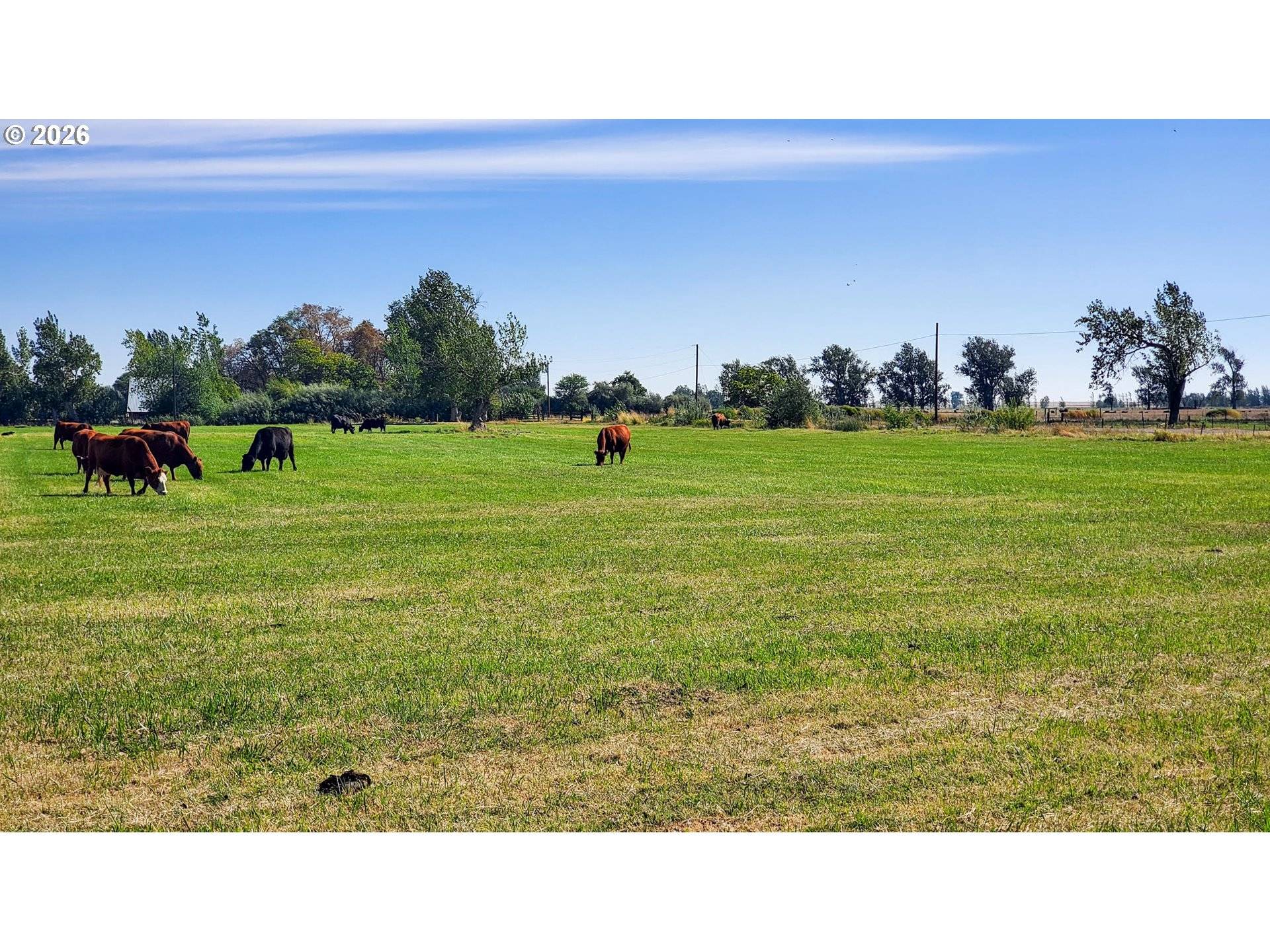 68499 KUNZE LN, Boardman, OR 97818