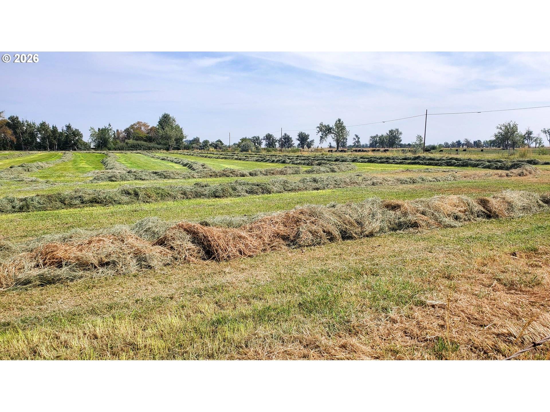 68499 KUNZE LN, Boardman, OR 97818