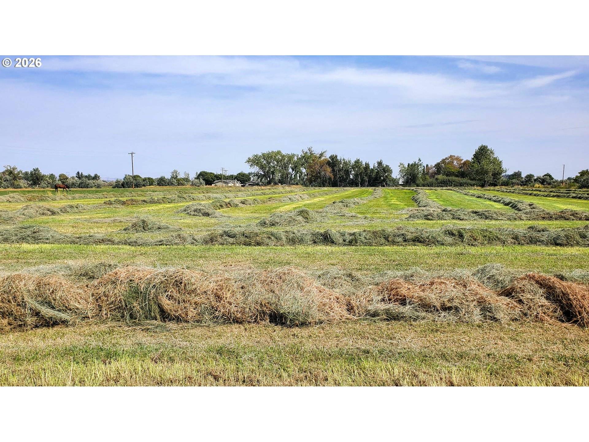 68499 KUNZE LN, Boardman, OR 97818