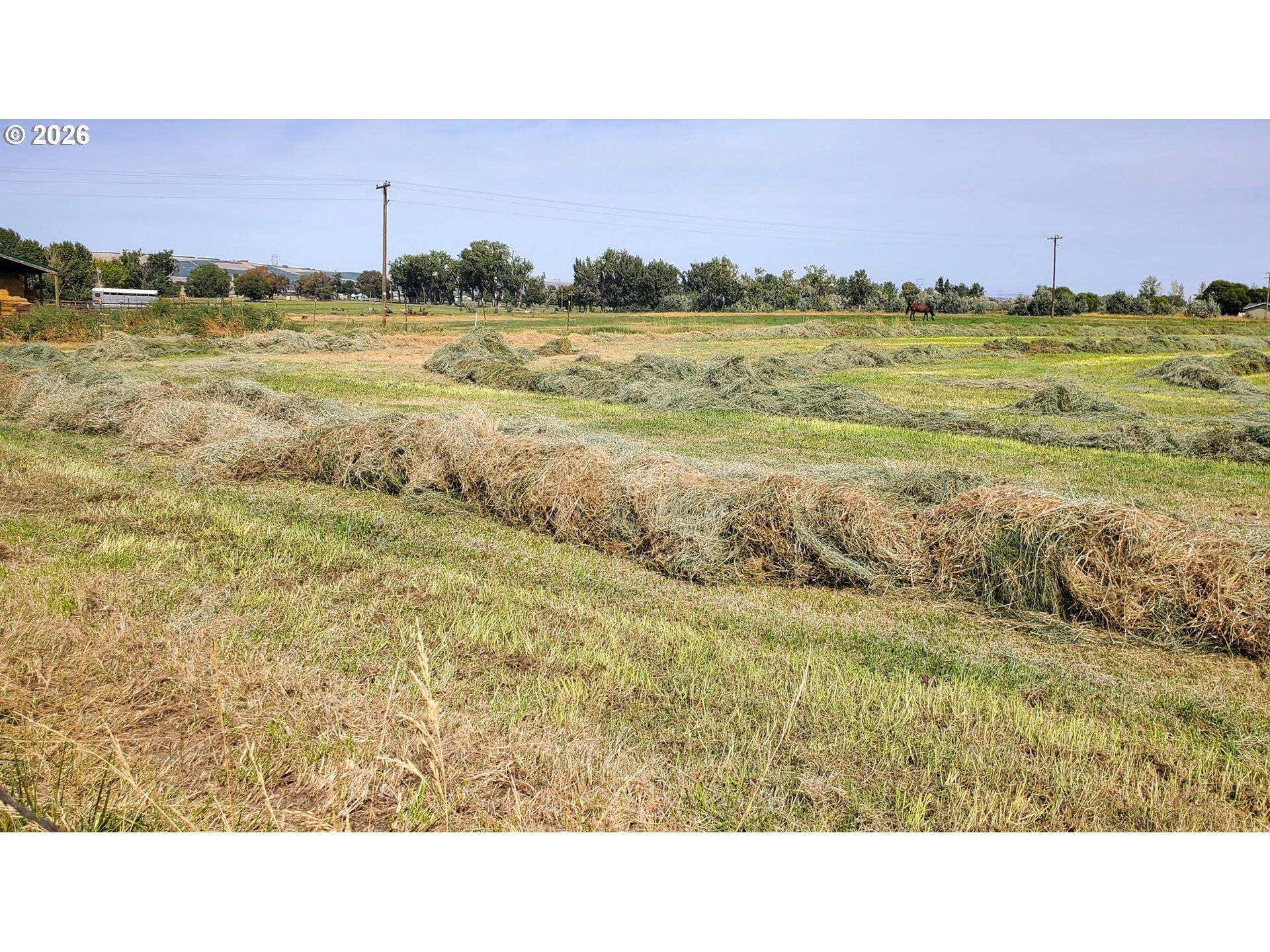 68499 KUNZE LN, Boardman, OR 97818