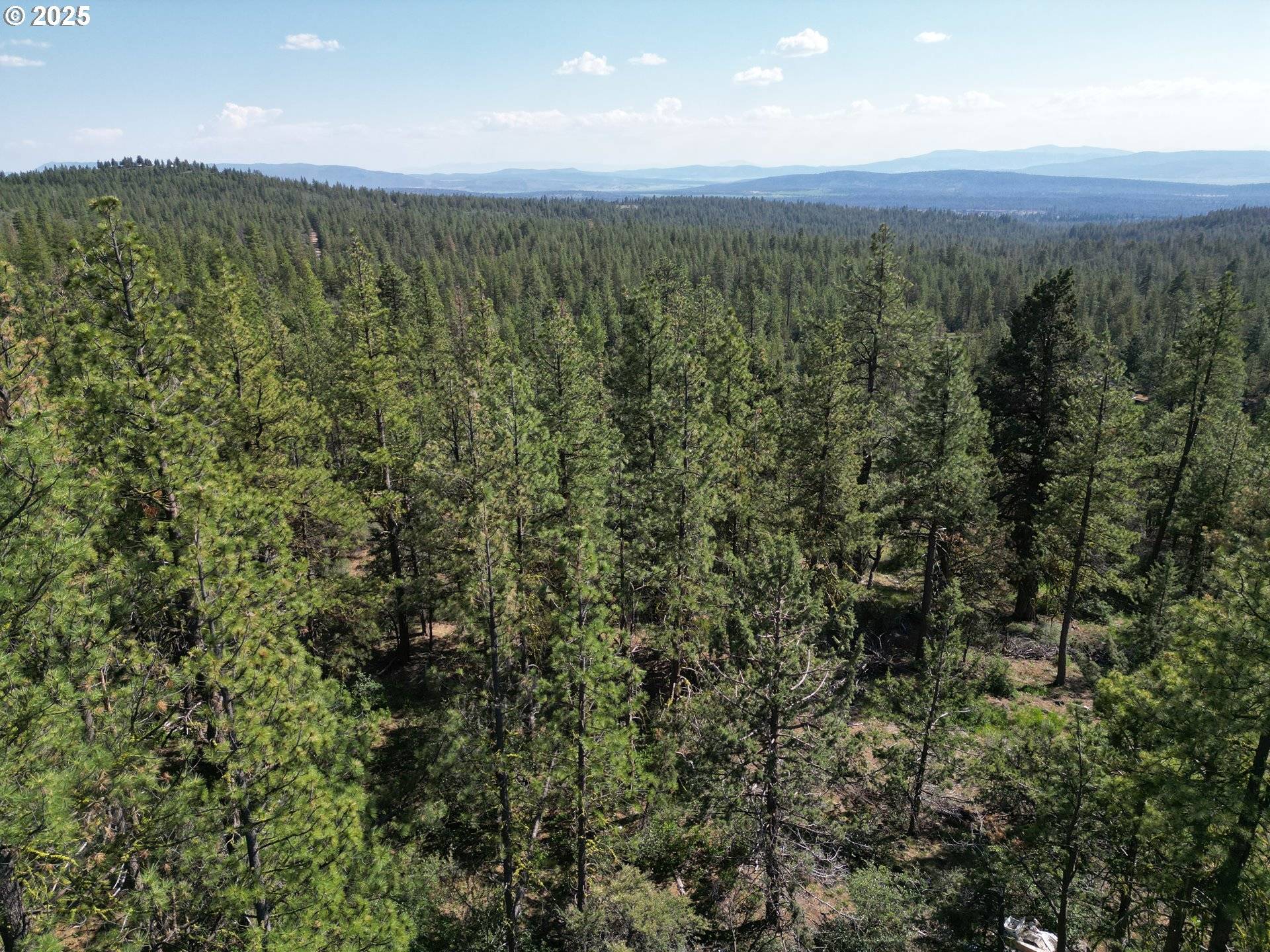 Sandpiper DR #2300, Beatty, OR 97621