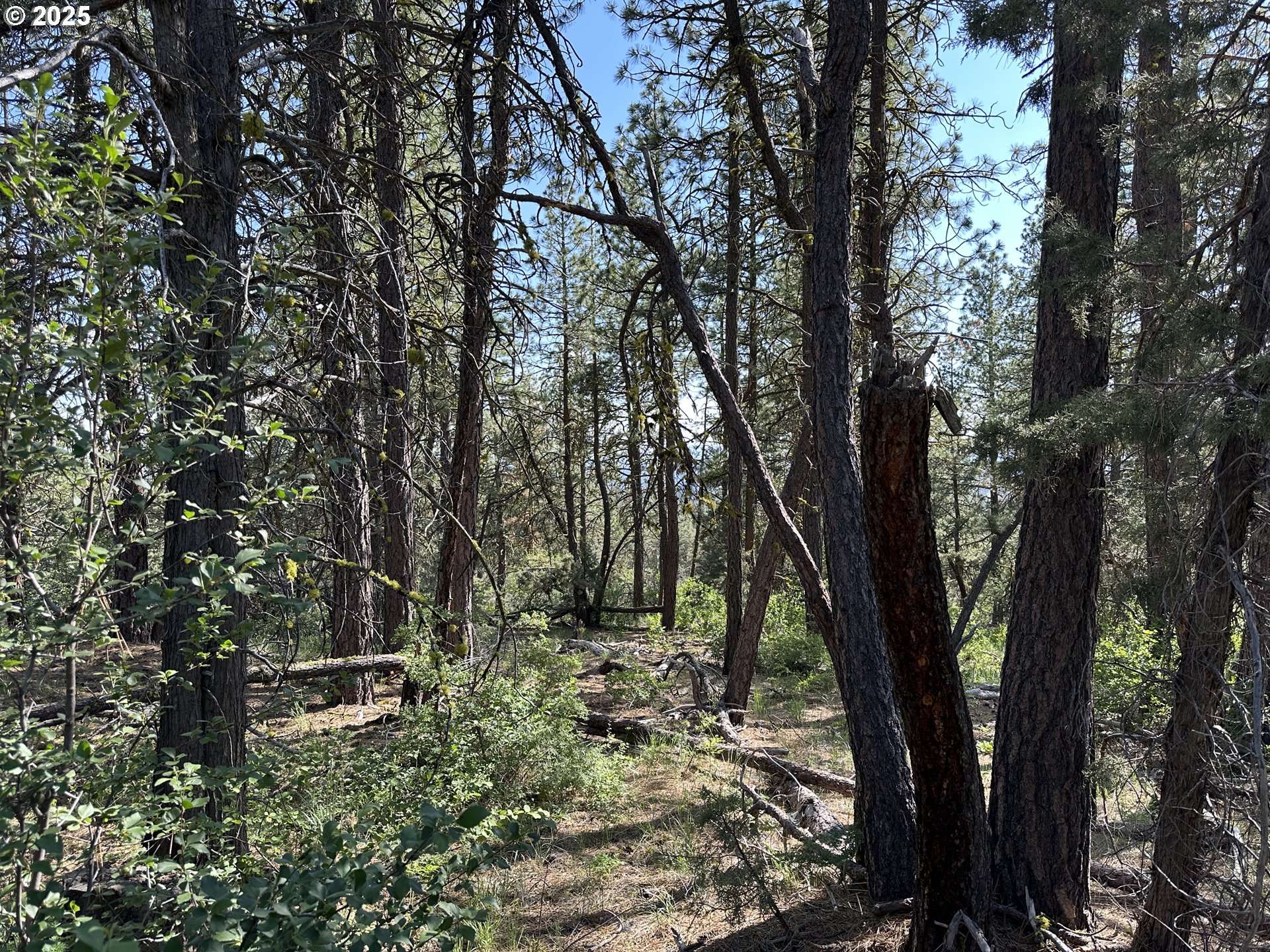 Sandpiper DR #2300, Beatty, OR 97621