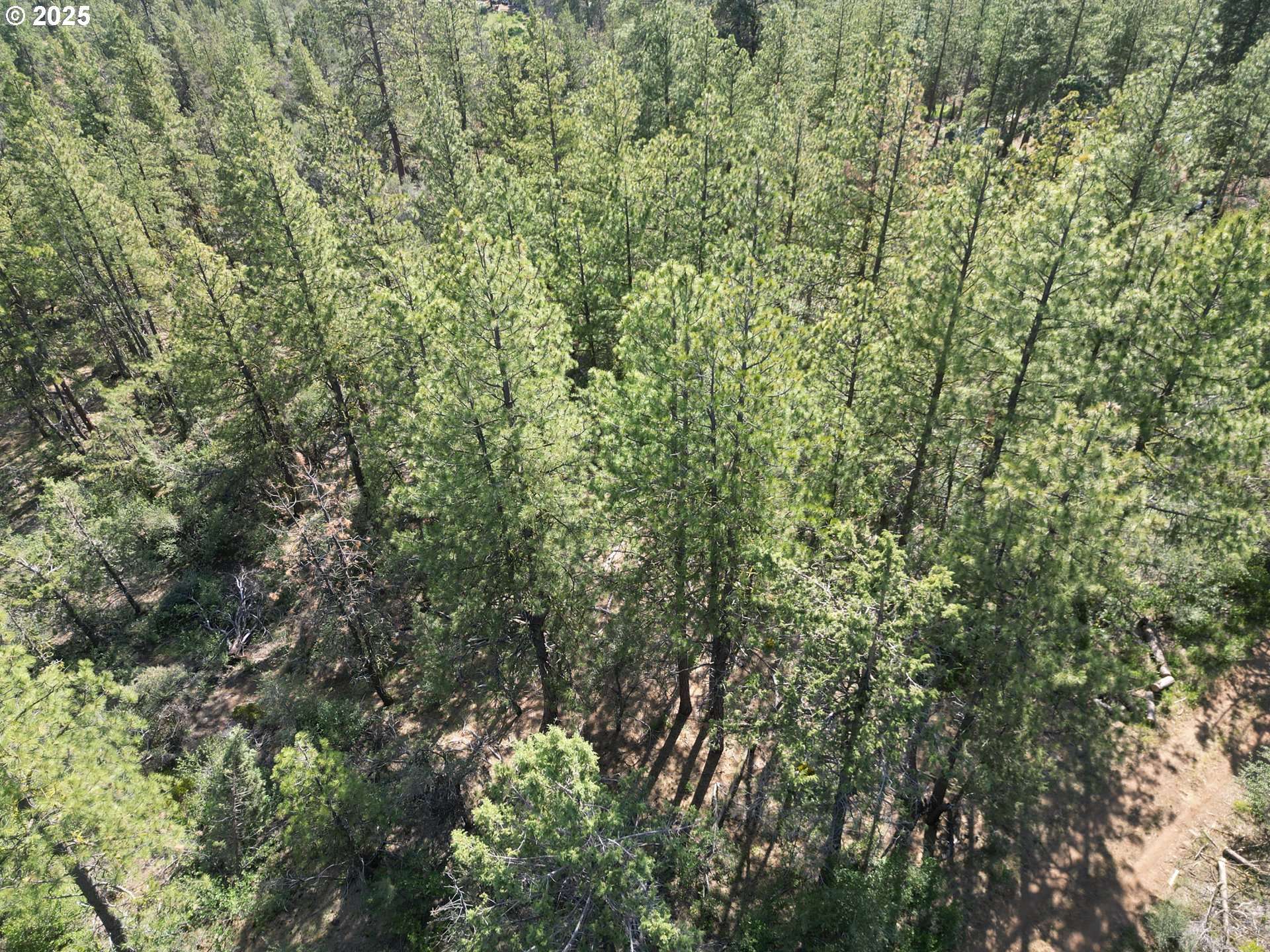 Sandpiper DR #2300, Beatty, OR 97621