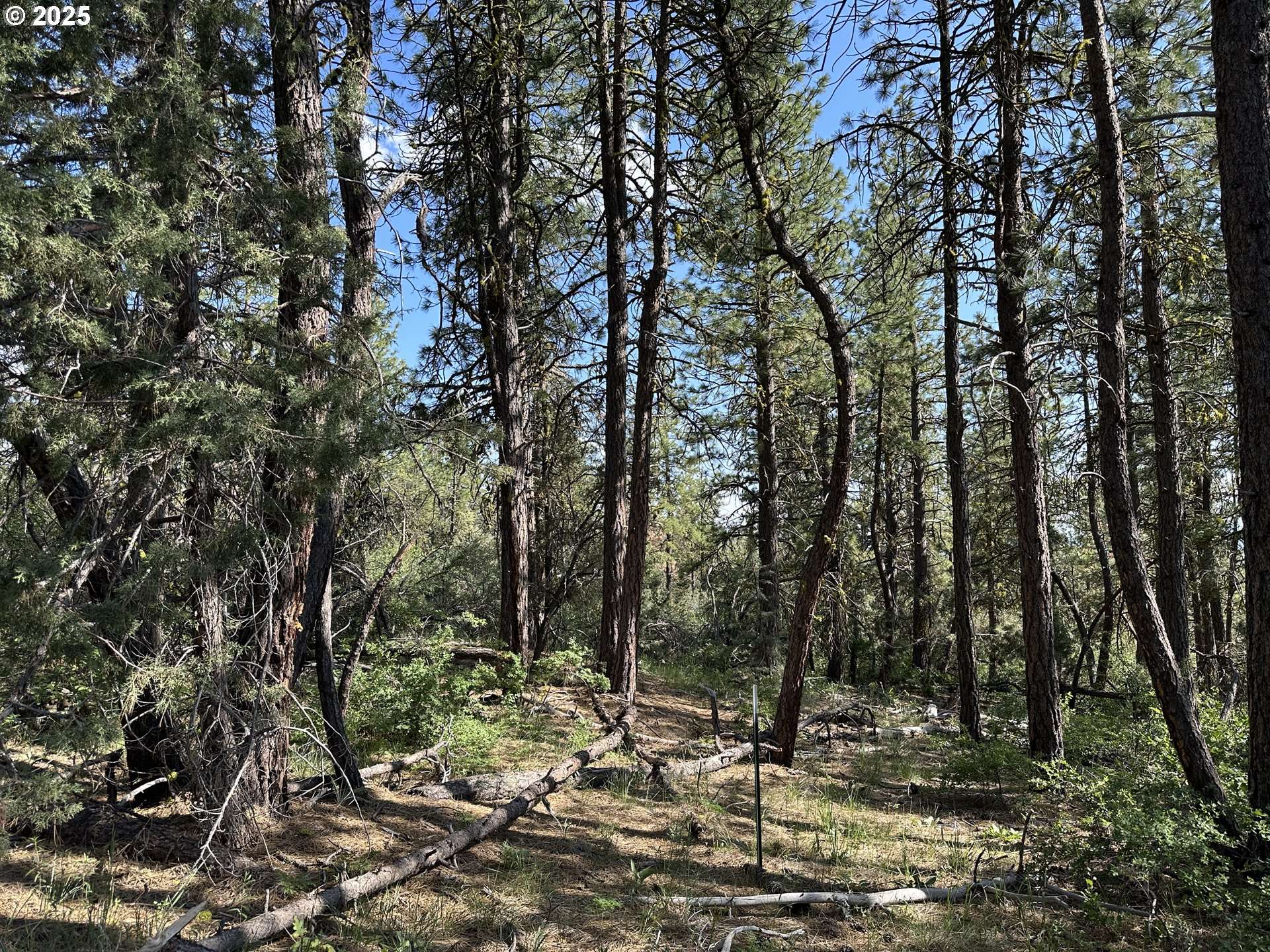 Sandpiper DR #2300, Beatty, OR 97621