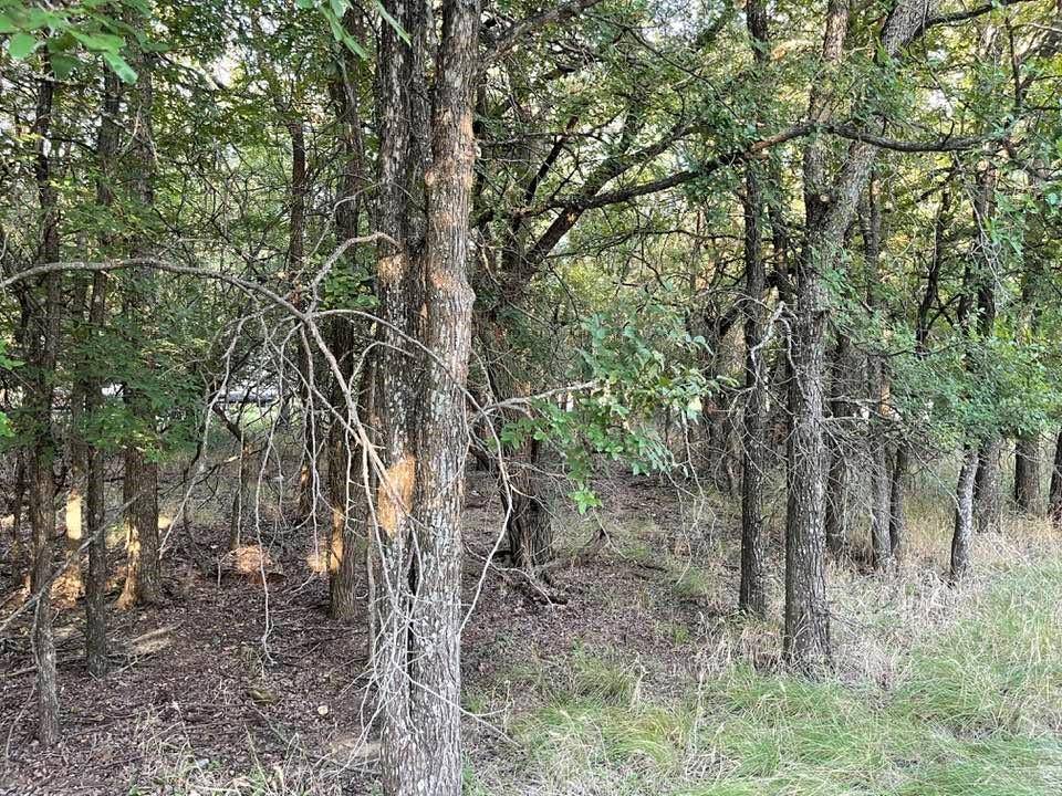 622 Cypress Drive, May, TX 76857