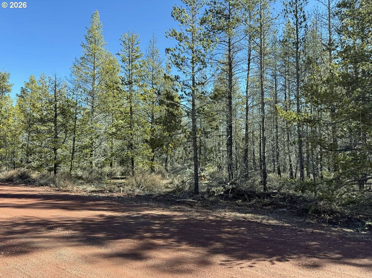 Scott View Drive #11, Chiloquin, OR 97624