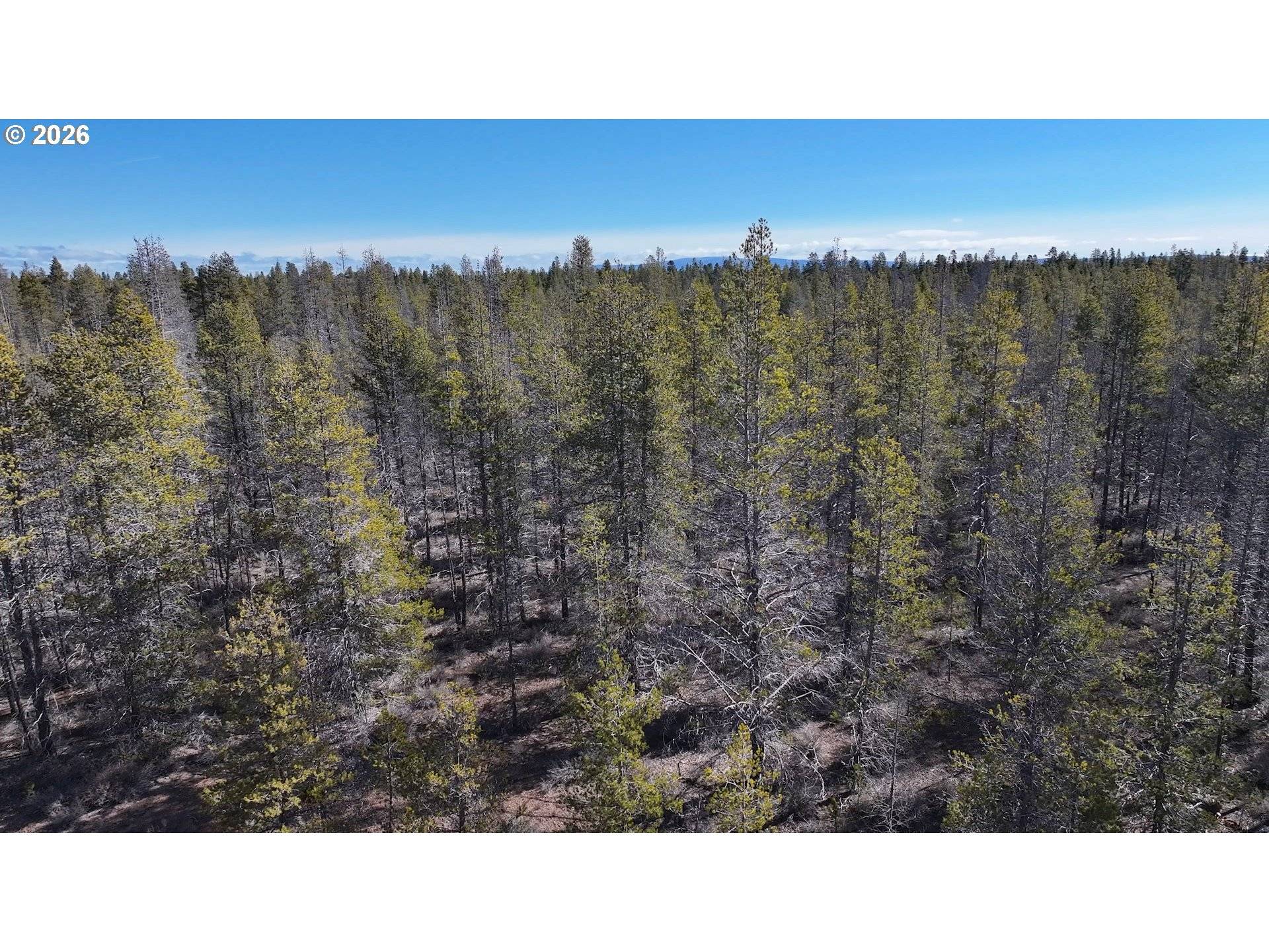 Scott View Drive #11, Chiloquin, OR 97624