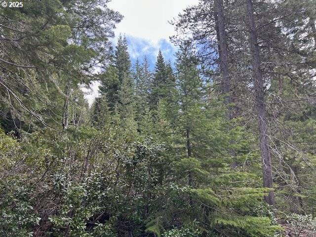 4 Royce Pine, Crescent Lake, OR 97733