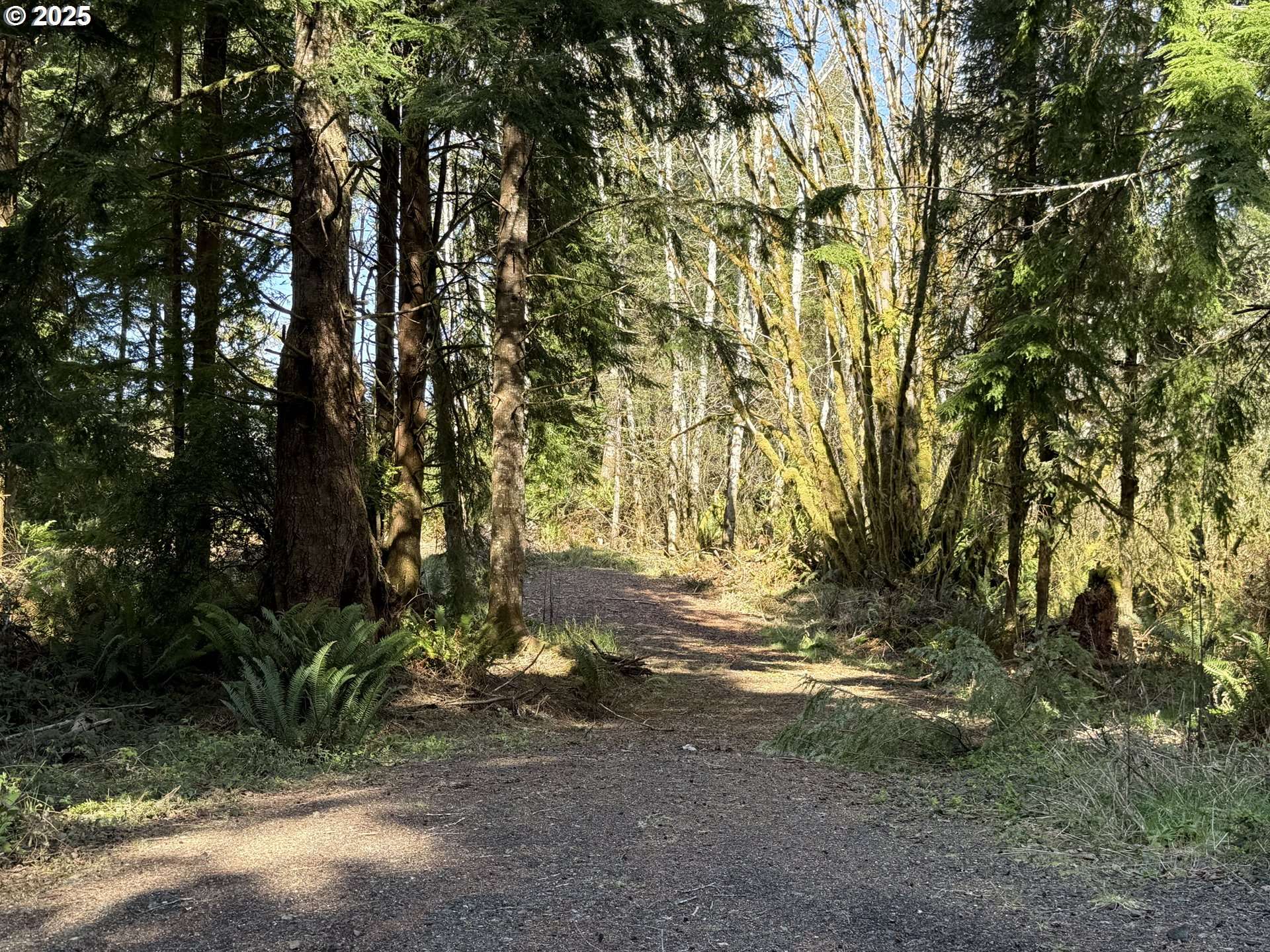 Cinnabar Lot 1, North Bend, OR 97459