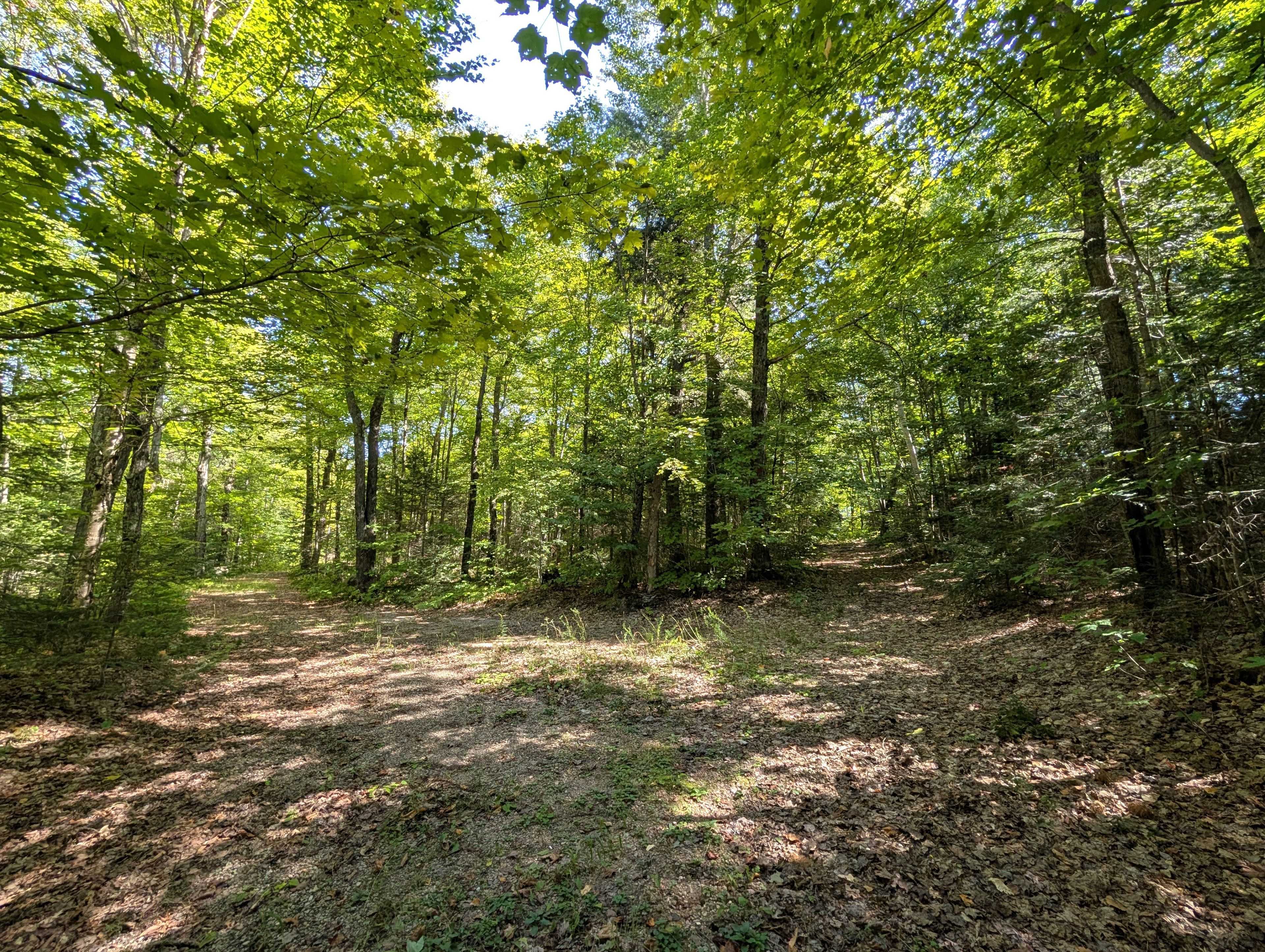 611 Bray Lake RD, Machar, ON P0A 1X0