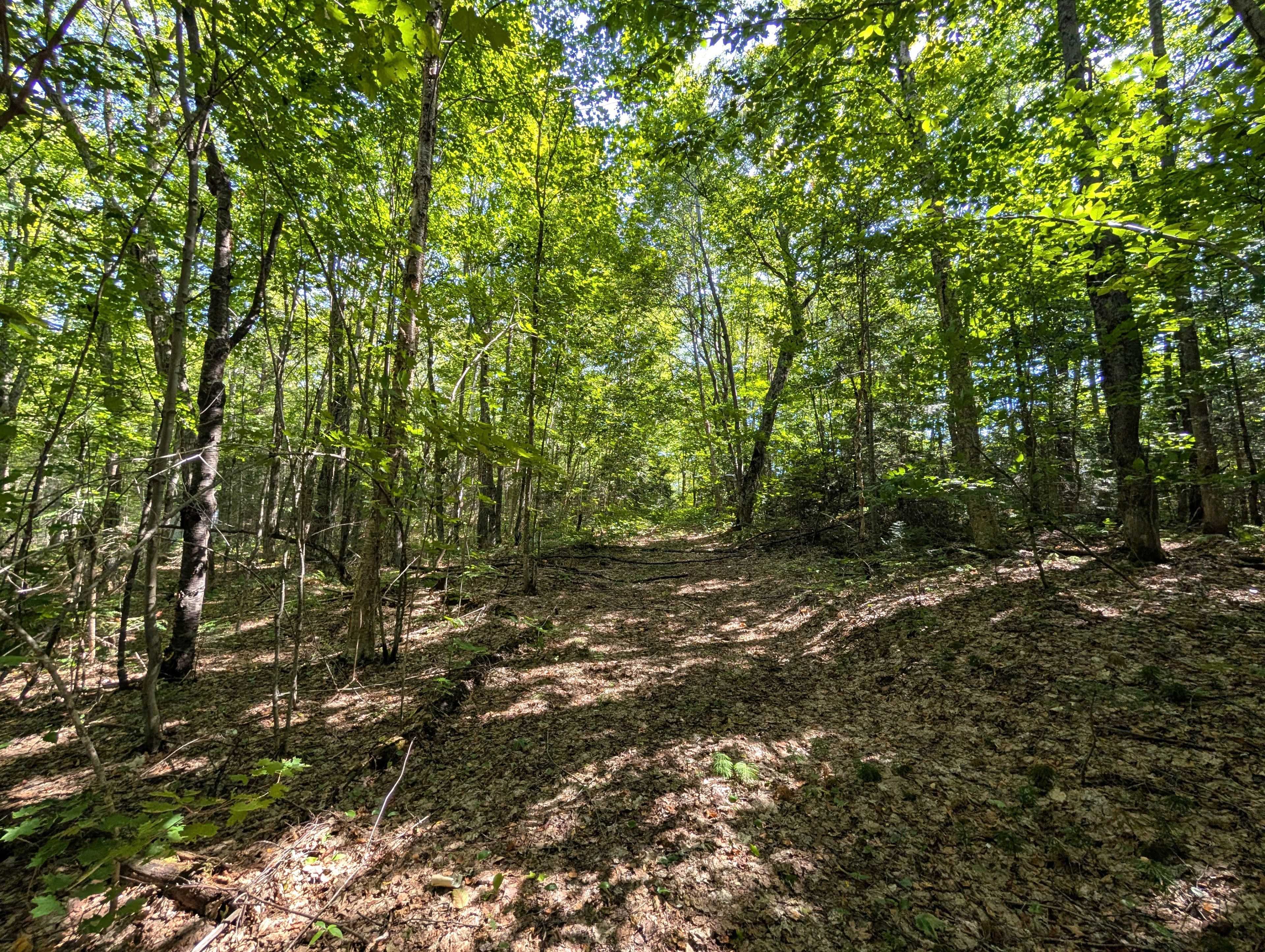 611 Bray Lake RD, Machar, ON P0A 1X0