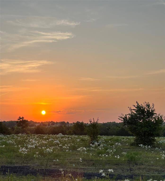 TBD Lot 2 County Road 703, Farmersville, TX 75442