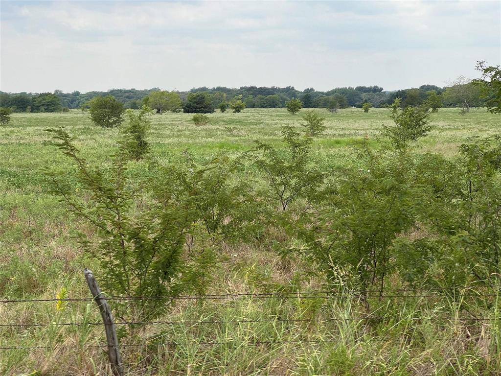 53+ Fm-513, Campbell, TX 75422