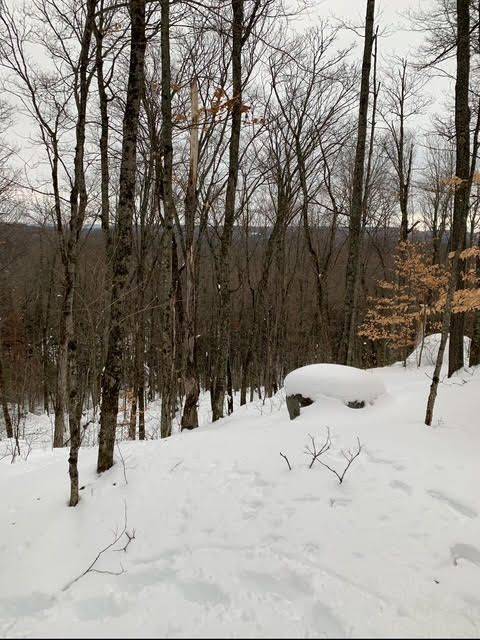 440 Riding Ranch RD, Machar, ON P0A 1X0