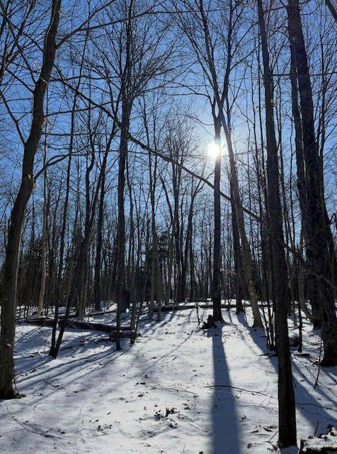 440 Riding Ranch RD, Machar, ON P0A 1X0