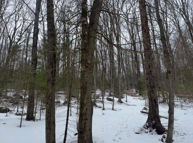 440 Riding Ranch RD, Machar, ON P0A 1X0