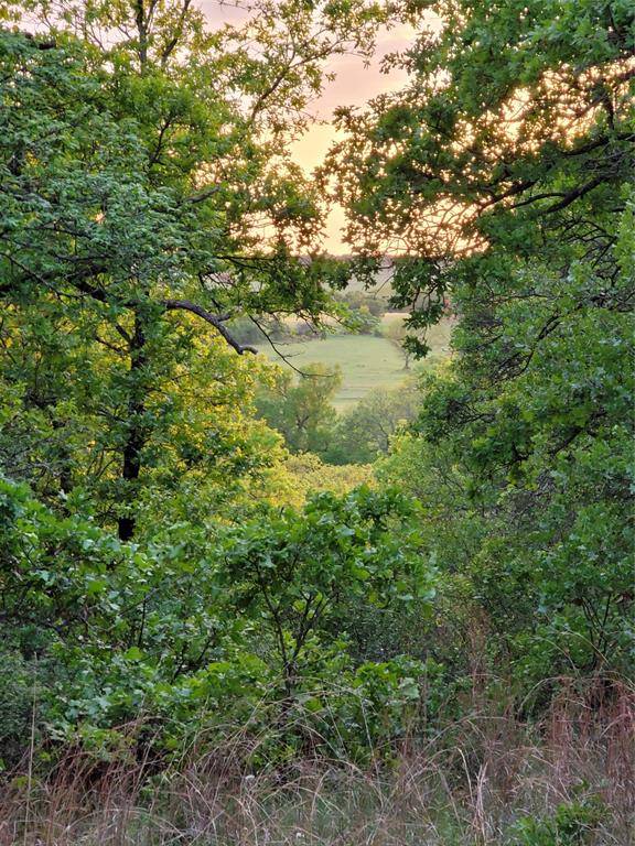 00000 Hwy 59 S, Bowie, TX 76230