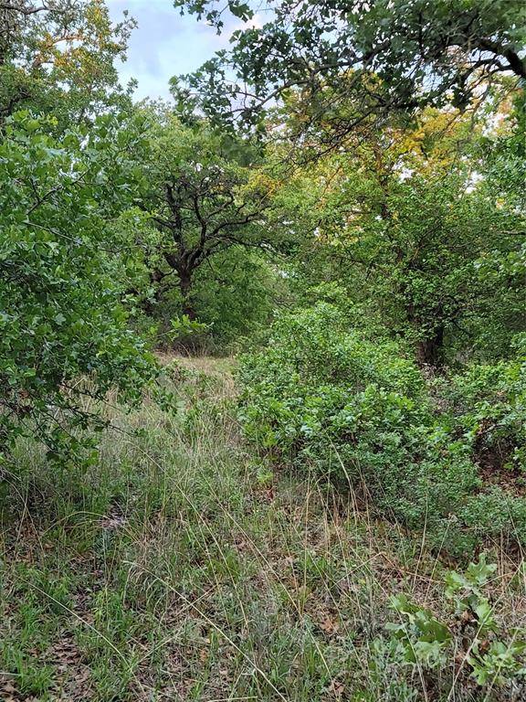 00000 Hwy 59 S, Bowie, TX 76230