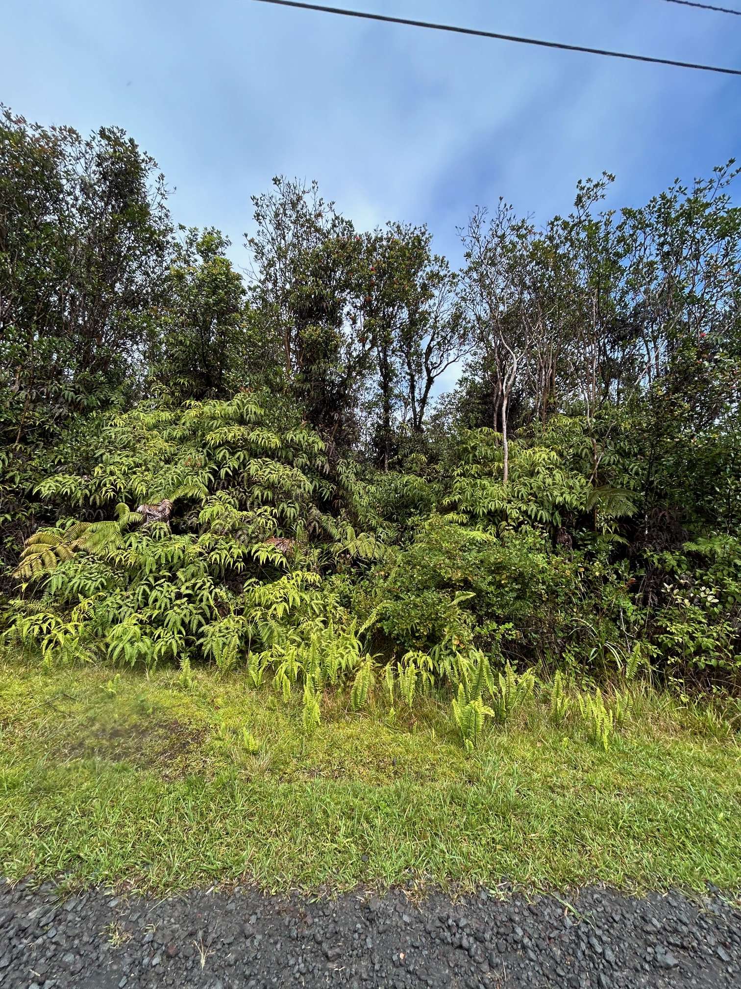 11-2496 MAKOA RD, Volcano, HI 96785