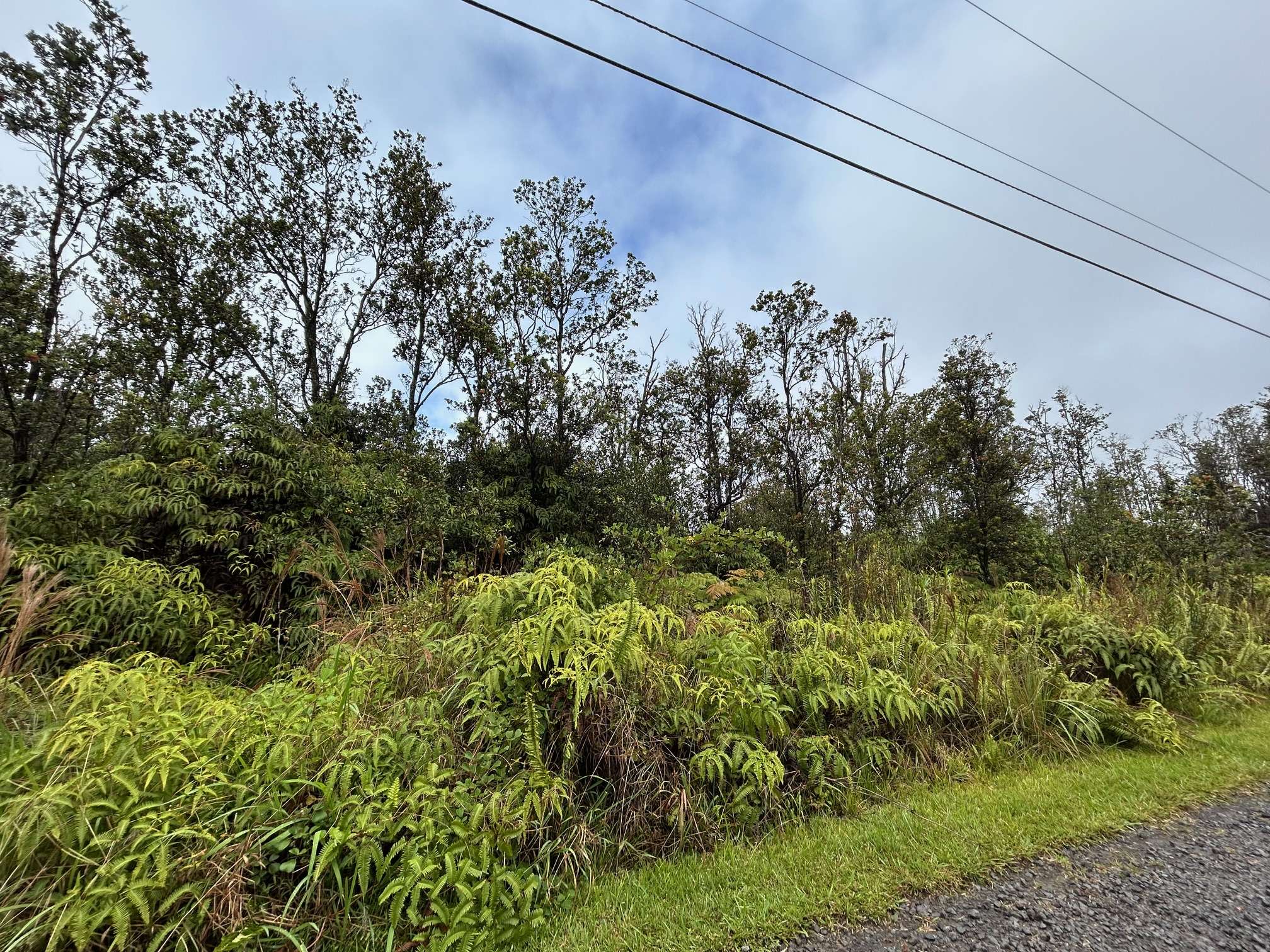 11-2496 MAKOA RD, Volcano, HI 96785