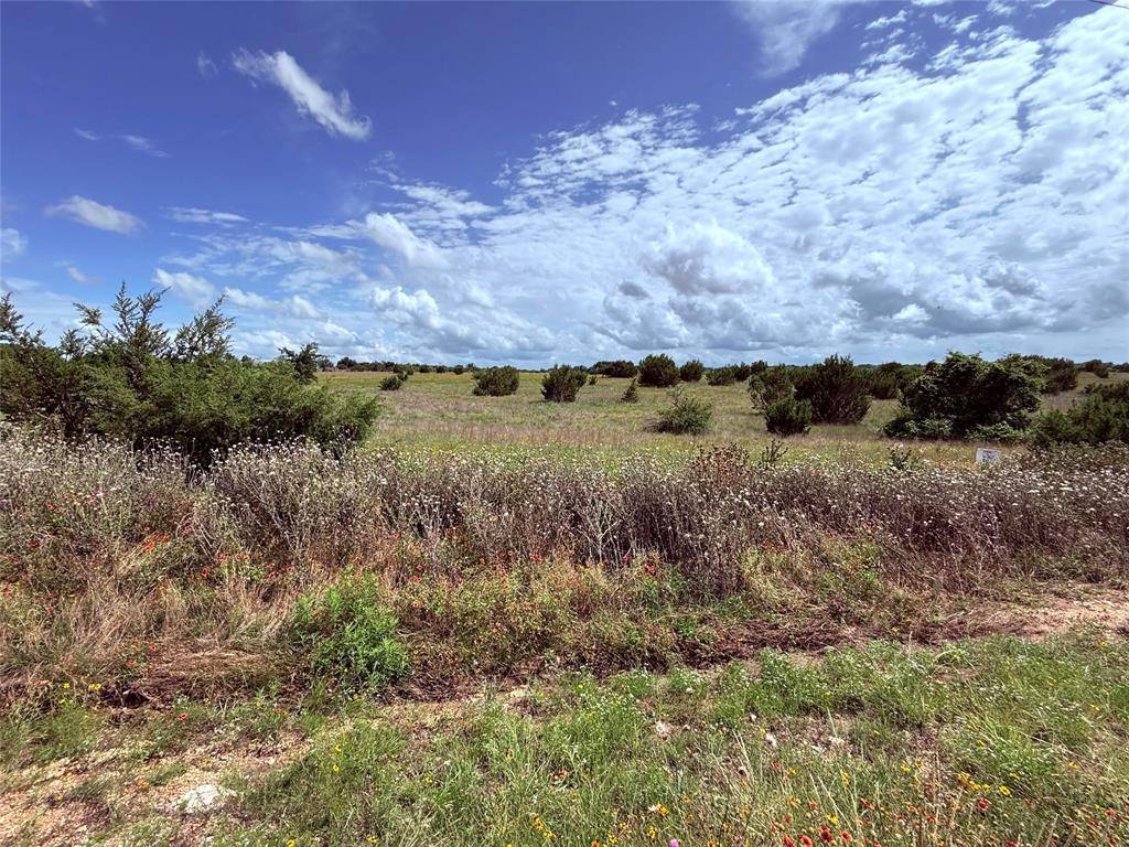 184 Gilmore Court, Lipan, TX 76462