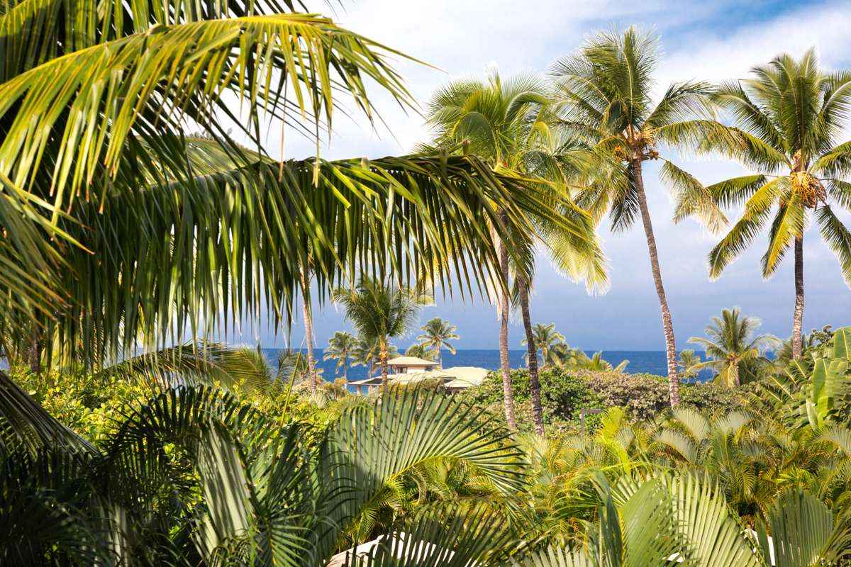 69-1010 KEANA PL #C203, Waikoloa, HI 96738