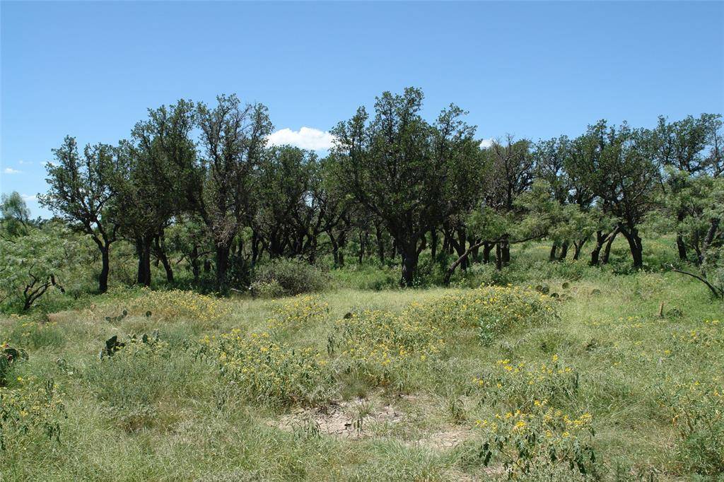 0001 CR 146, Brady, TX 76825