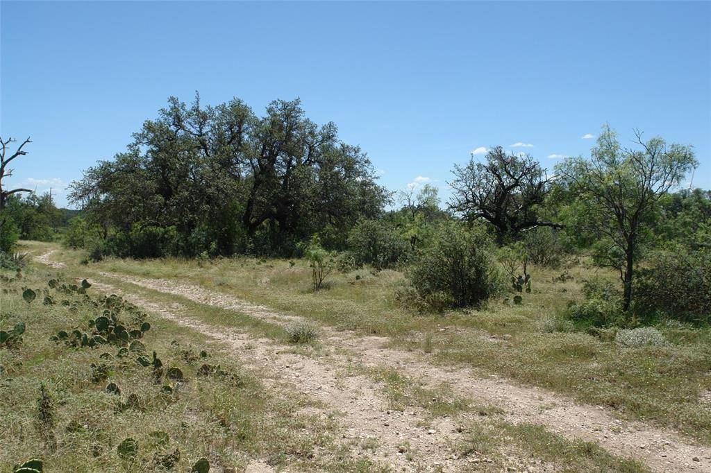 0001 CR 146, Brady, TX 76825