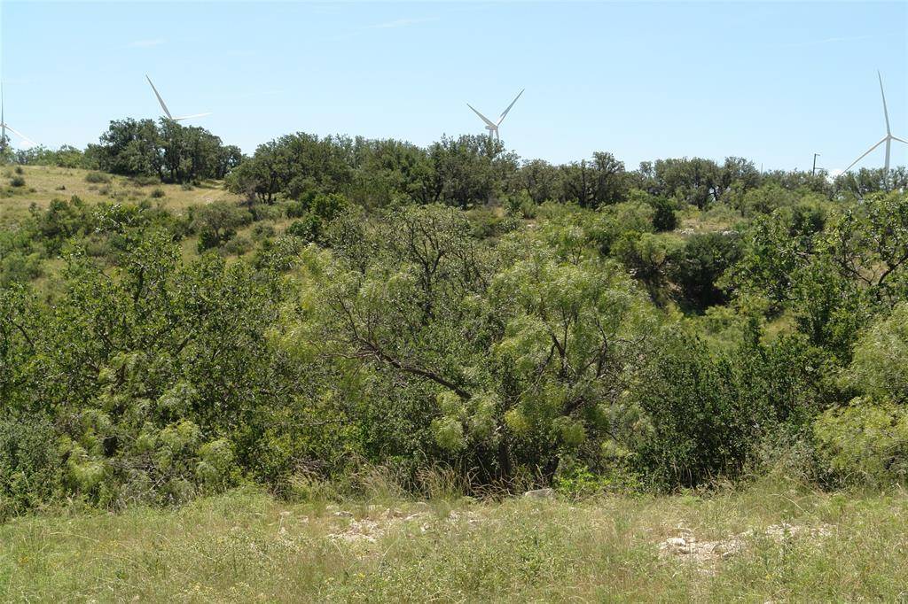 0003 CR 146, Brady, TX 76825