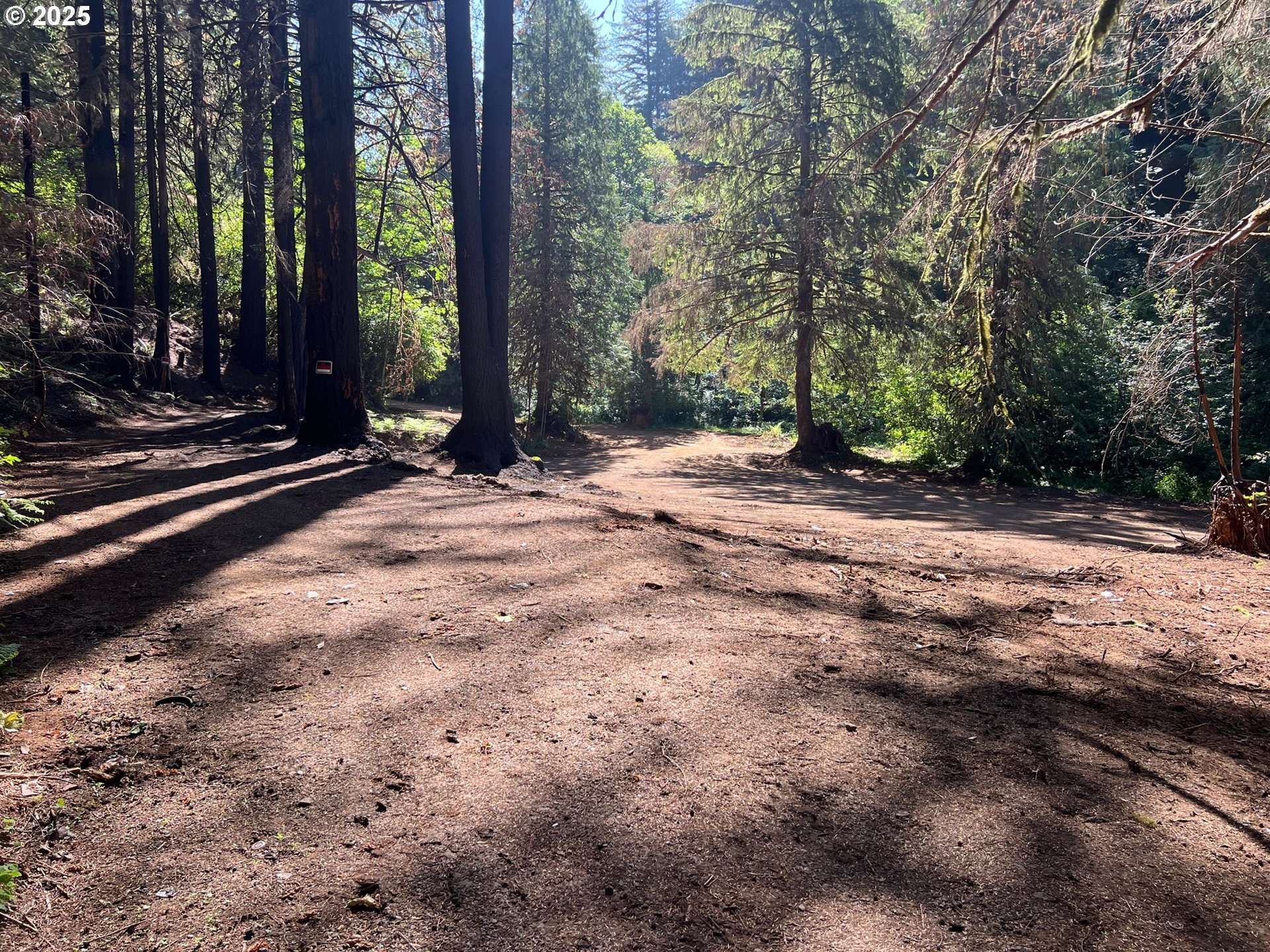 2536 SE MANNTHEY RD, Corbett, OR 97019