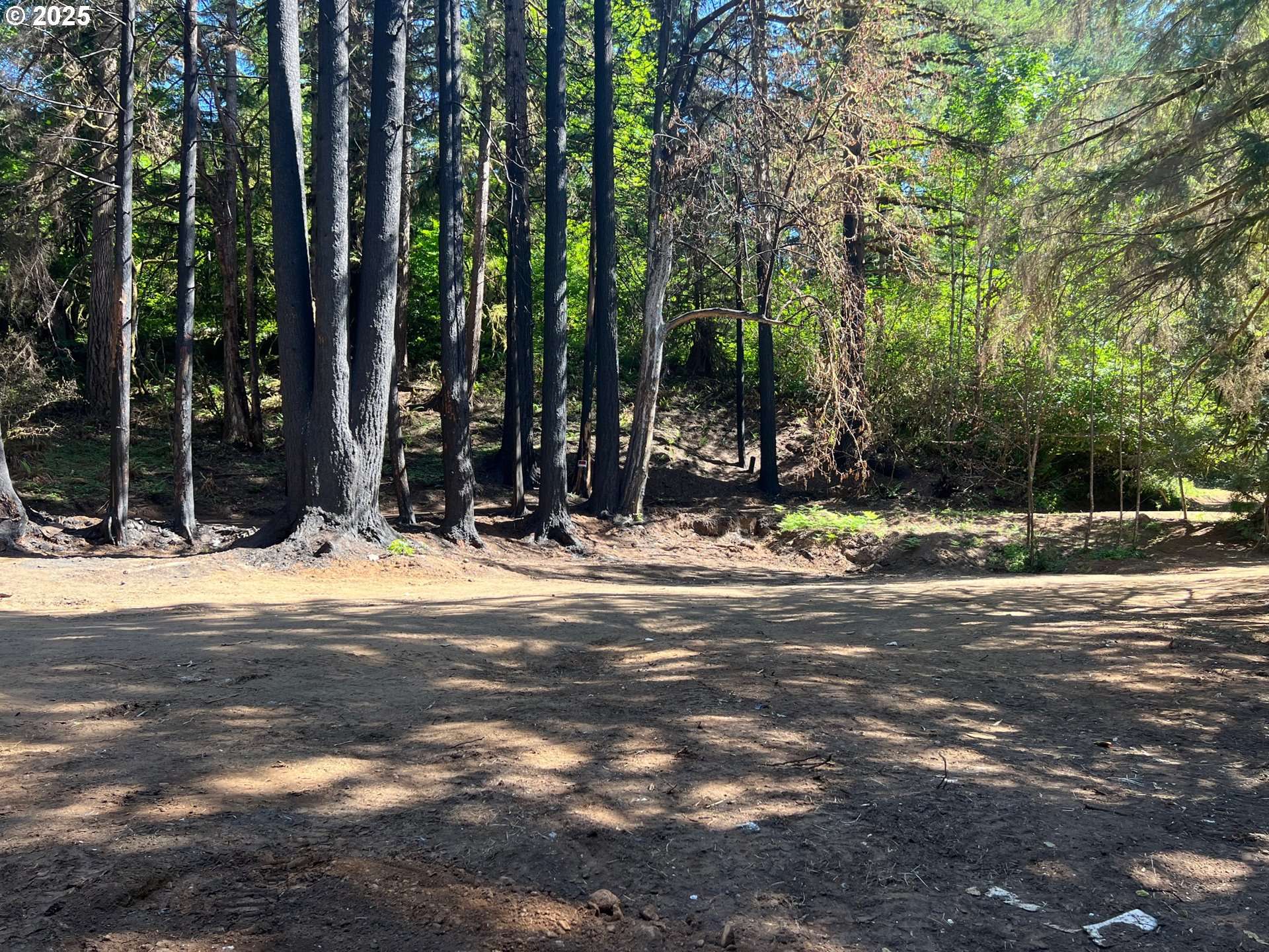 2536 SE MANNTHEY RD, Corbett, OR 97019