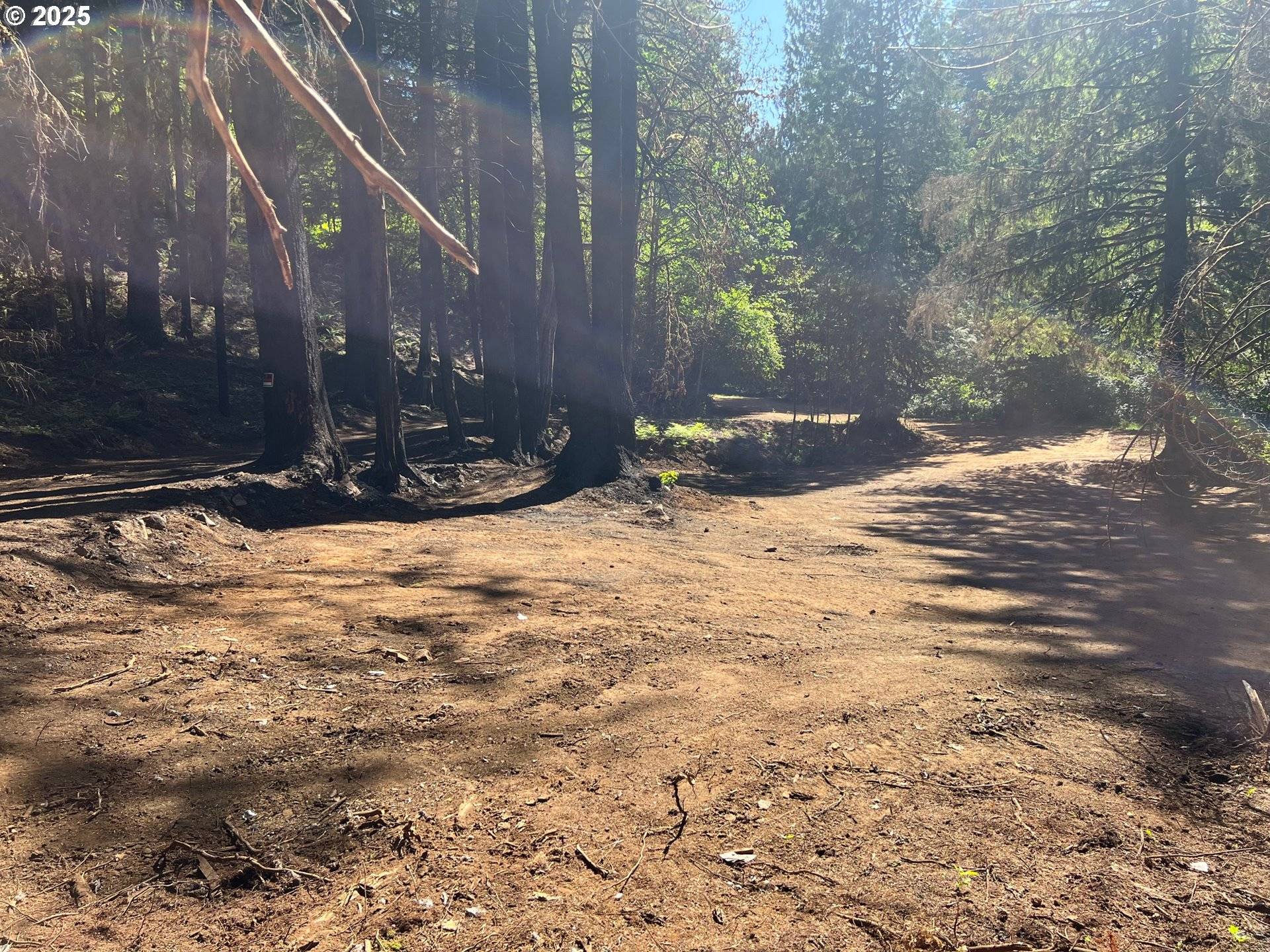 2536 SE MANNTHEY RD, Corbett, OR 97019