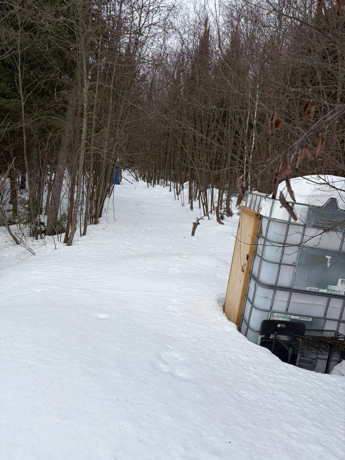 371 Albion Lake DR, Faraday, ON K0L 1C0