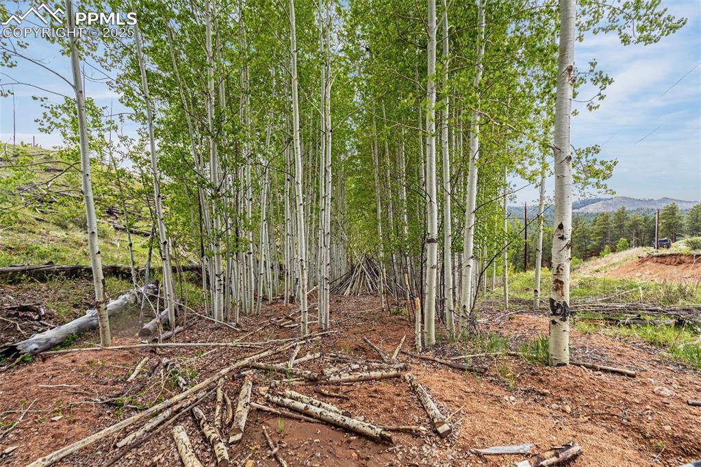 L1 B4 Columbine CIR, Woodland Park, CO 80863