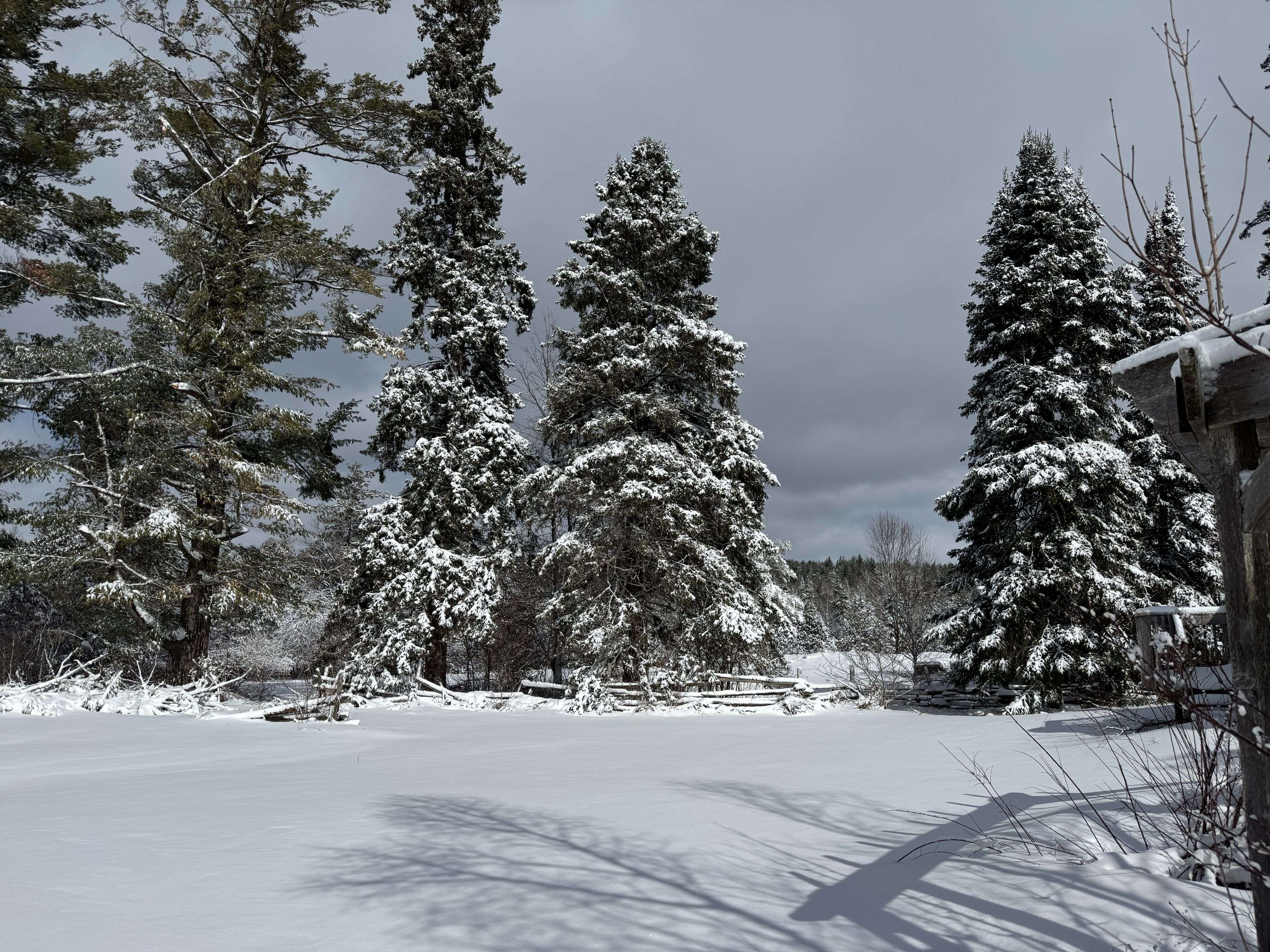 600457 50 Side Road, Chatsworth, ON N0H 1R0