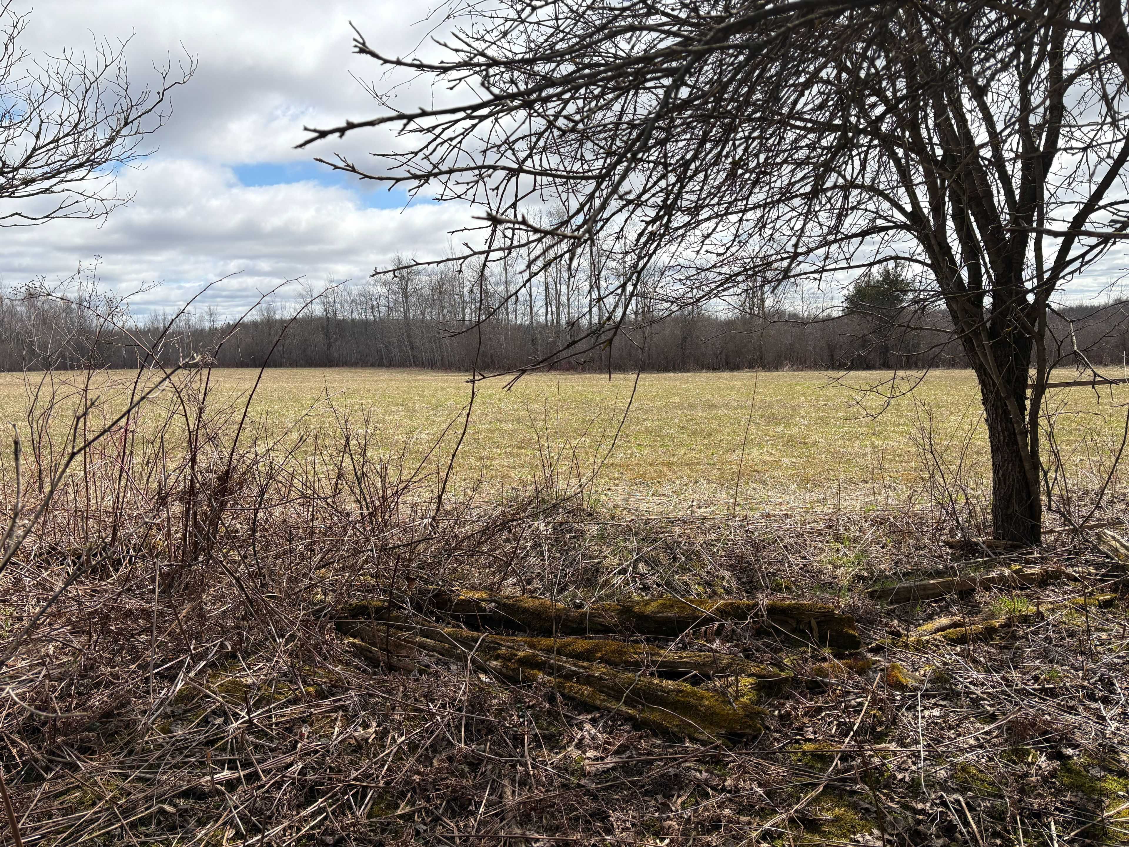 PtLt 20 Con 8 (9th Line) N/A, Amaranth, ON L9W 0H4