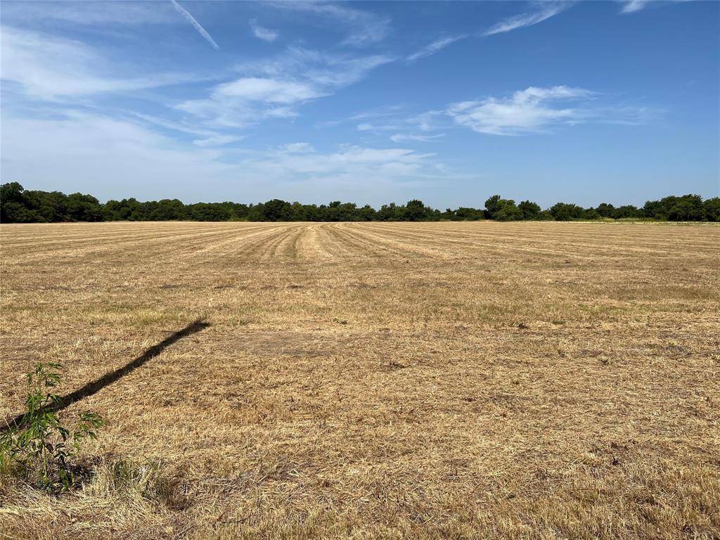 Lot 4 Rodgers Road, Sadler, TX 76264