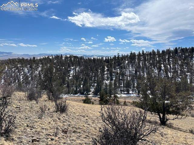 697 Summit RD, Hartsel, CO 80449