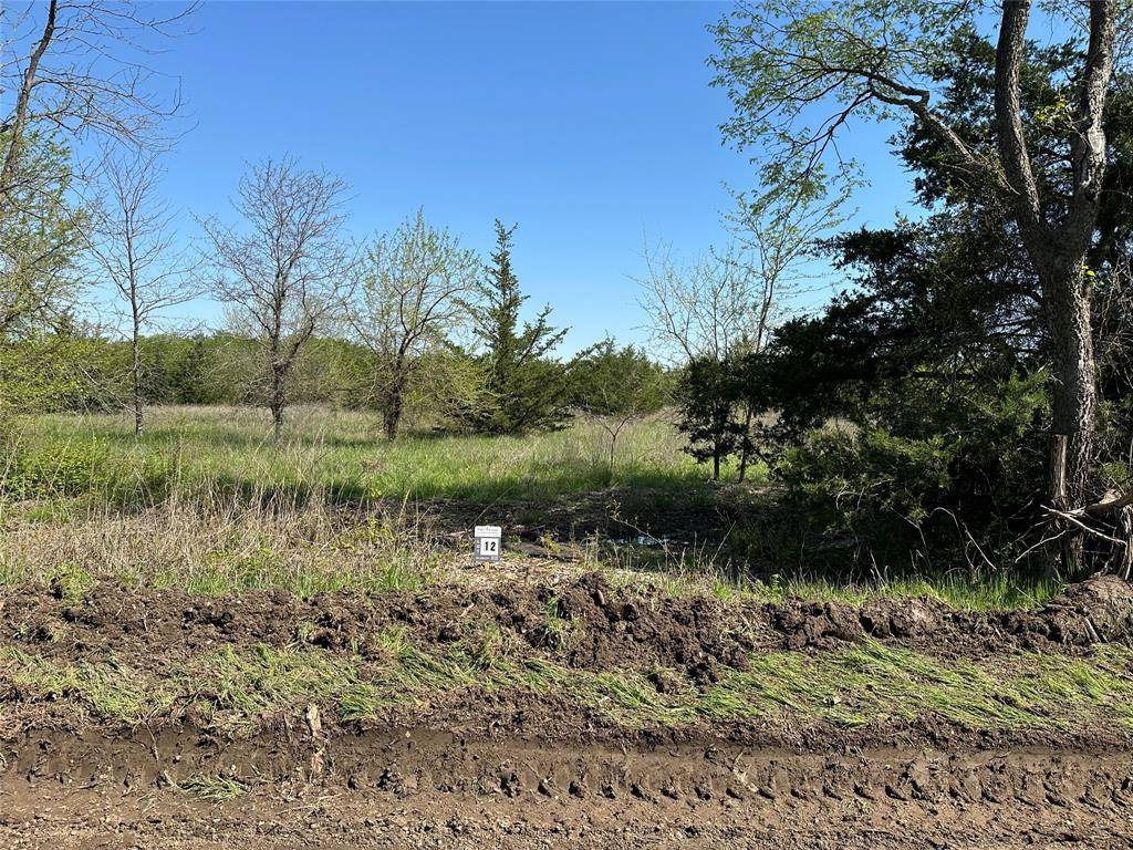 Tract 12 County Road 2951, Honey Grove, TX 75446