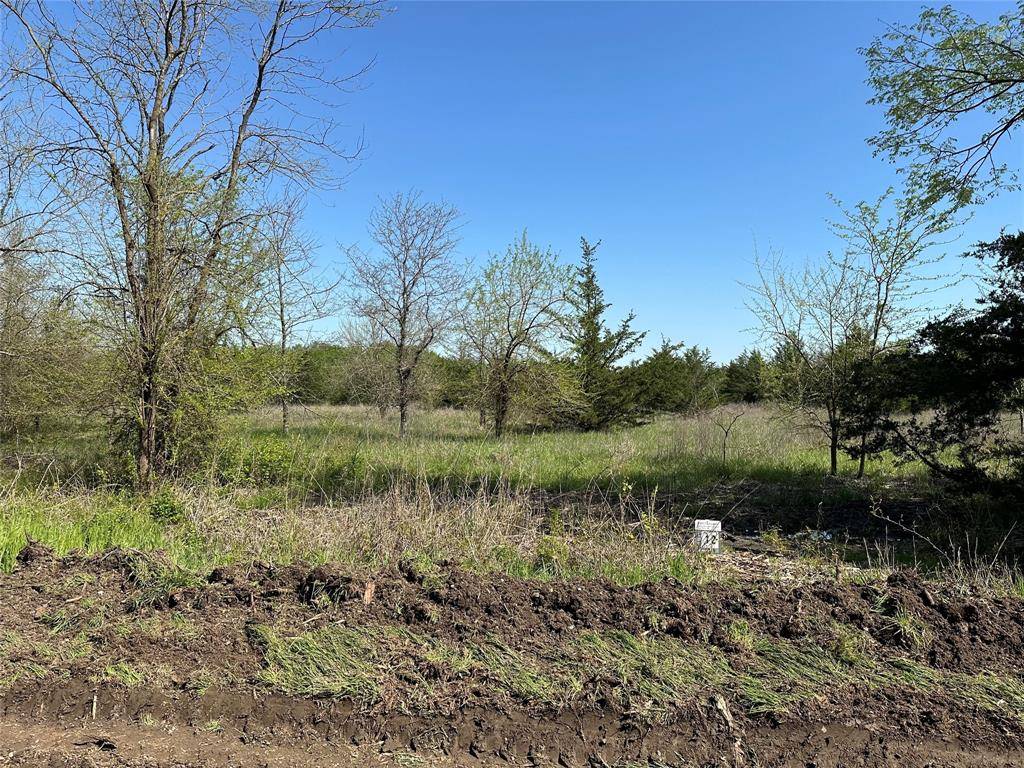 Tract 12 County Road 2951, Honey Grove, TX 75446