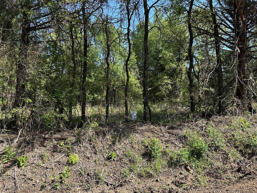 Tract 13 County Road 2951, Honey Grove, TX 75446