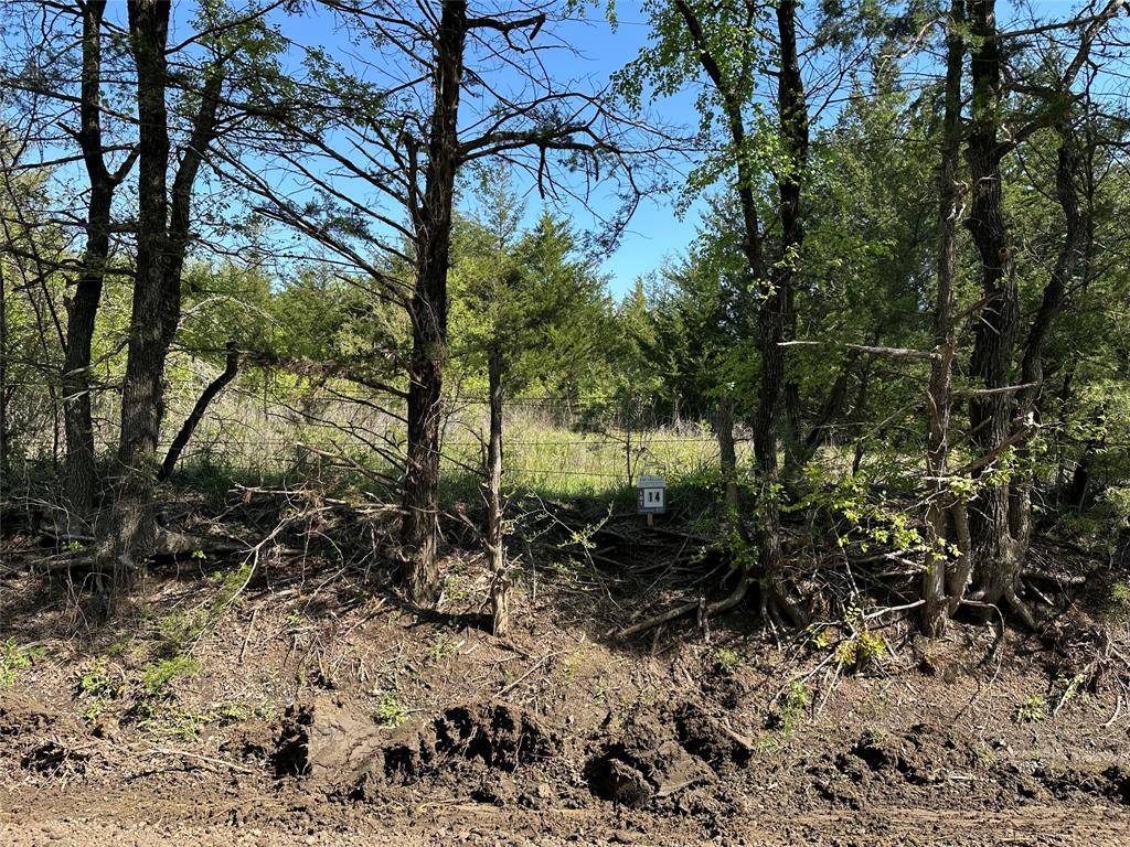 Tract 14 County Road 2951, Honey Grove, TX 75446