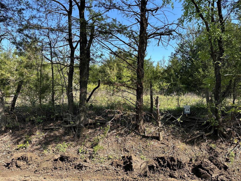 Tract 14 County Road 2951, Honey Grove, TX 75446
