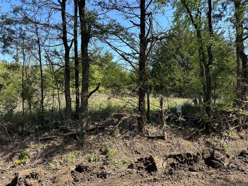 Tract 14 County Road 2951, Honey Grove, TX 75446