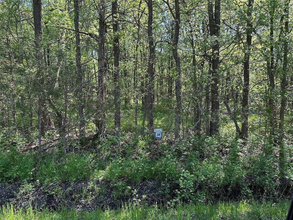 Tract 16 County Road 2960, Honey Grove, TX 75446