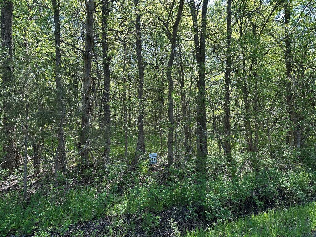 Tract 16 County Road 2960, Honey Grove, TX 75446